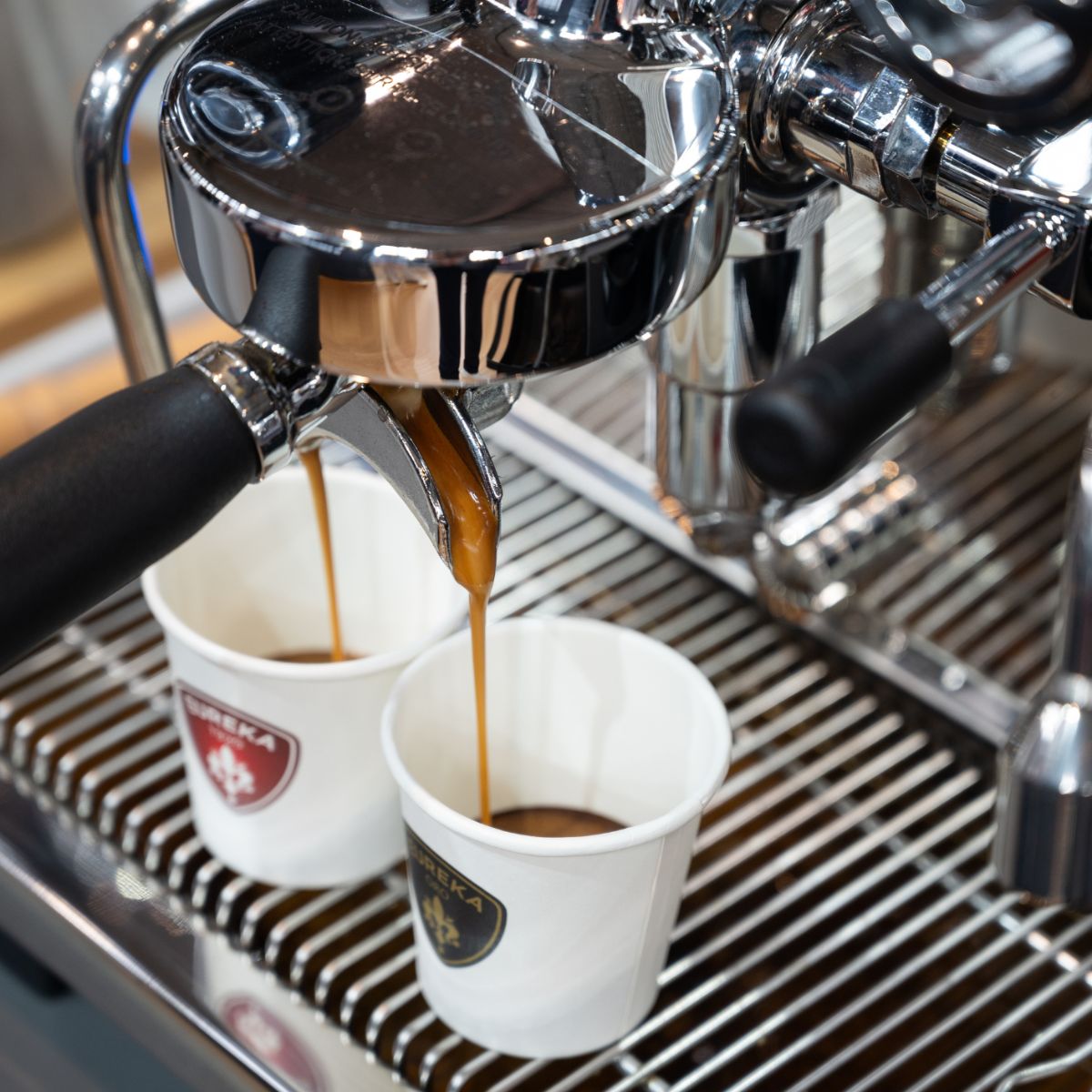 Eureka Constanza R Espresso Machine - Stainless Steel